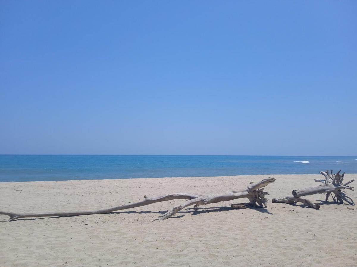 Bob Marley Beach Guachaca Εξωτερικό φωτογραφία