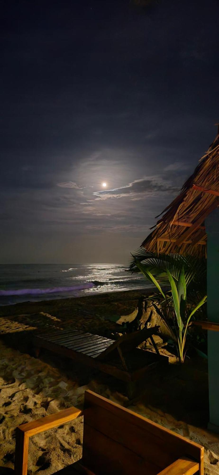 Bob Marley Beach Guachaca Εξωτερικό φωτογραφία